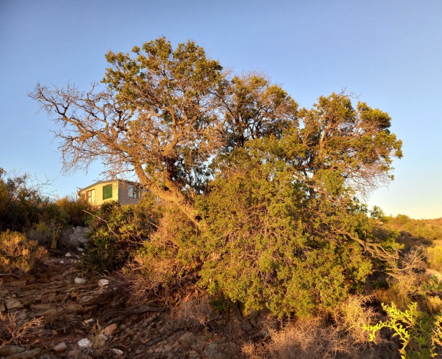  Bedroom Property for Sale in Van Wyksdorp Western Cape